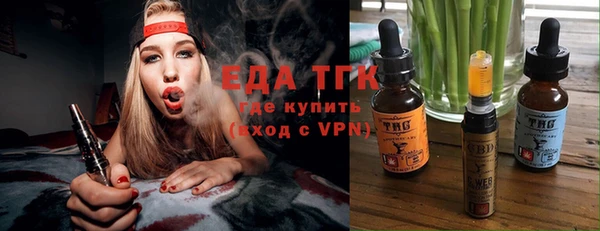 гидра Богородицк
