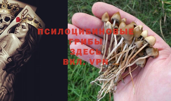 МДМА Весьегонск