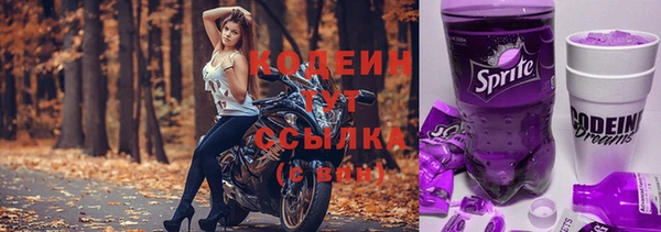 тгк Богданович