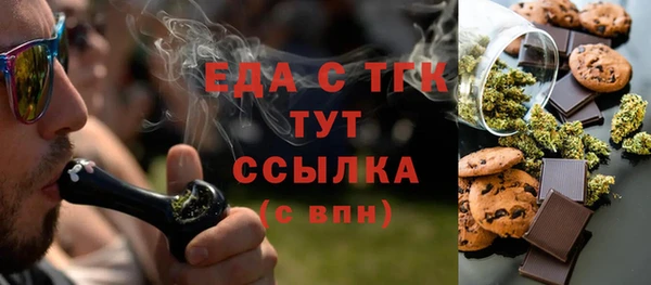 гидра Богородицк