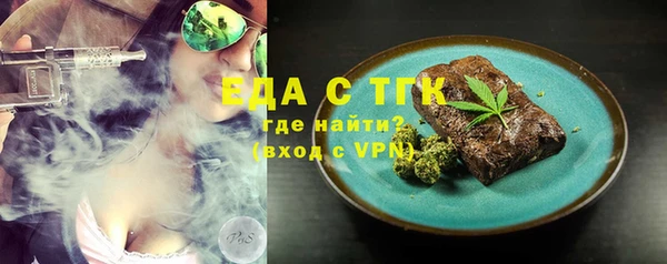 гидра Богородицк