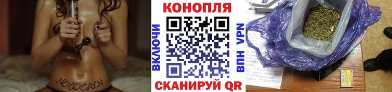 Конопля семена  где продают   Дальнегорск 